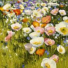 Sunny Meadow by Shirley Novak